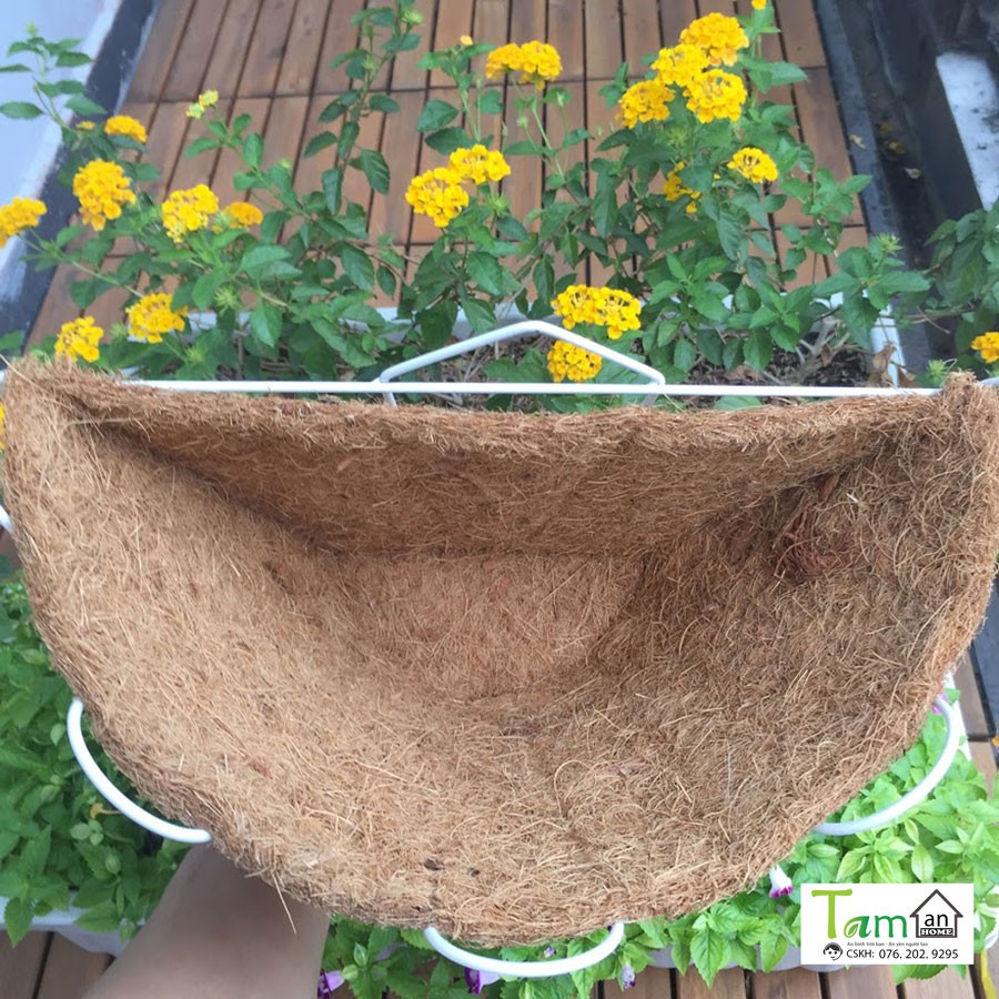 Chậu xơ dừa Taman Home, chậu trồng cây áp tường, chậu ốp tường, chậu treo tường size 32x22x18cm