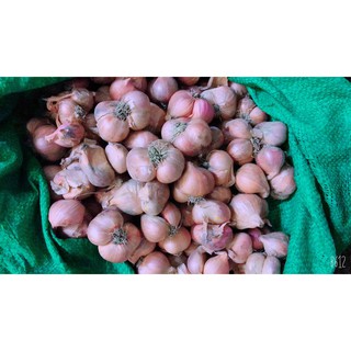 [Hành Ta] 1 Kg Hành Khô Đã Cắt Cuống (Kinh Môn Hải Dương)