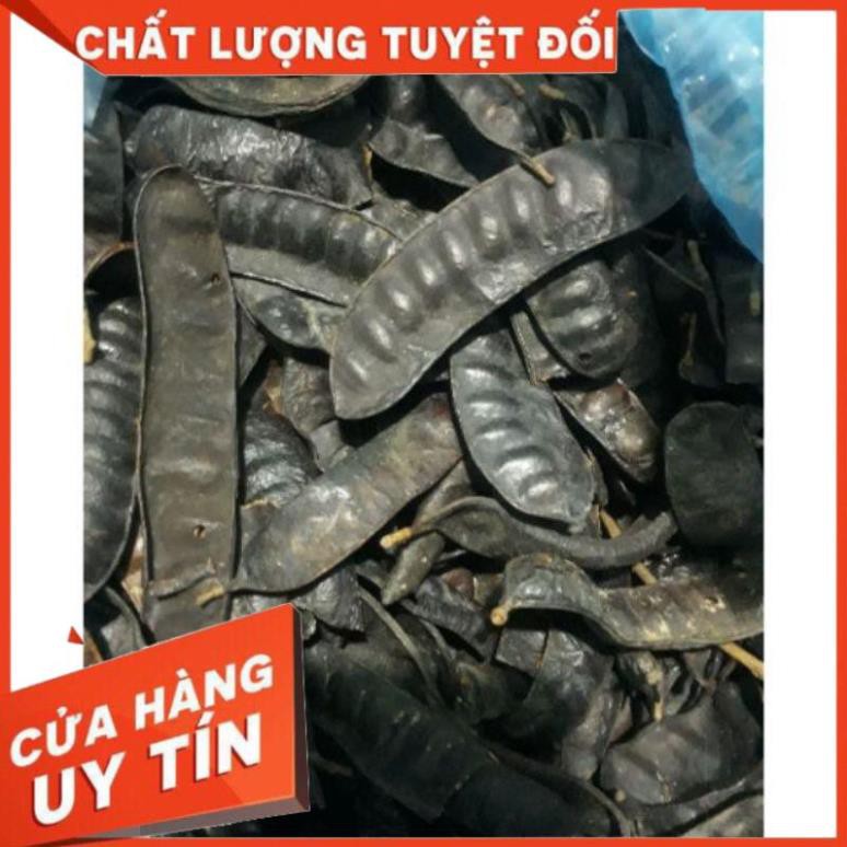 Cây Bồ Kết giống