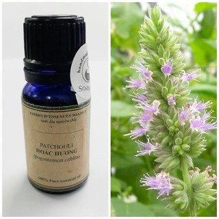 Tinh dầu Hoắc Hương - Patchouli