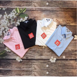 Combo 2 chiếc áo sơmi trắng uniquilo