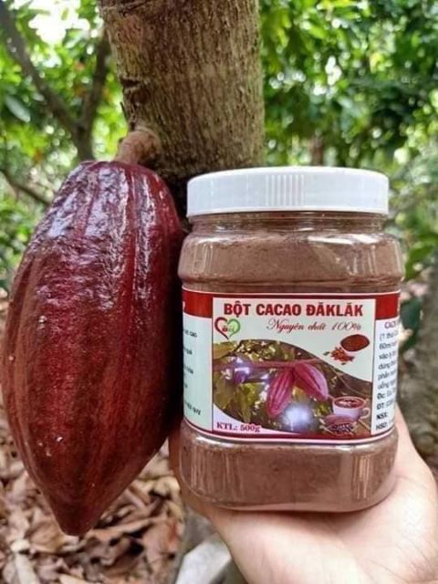 500g Bột cacao Đắc Lắc cam kết hàng chuẩn | BigBuy360 - bigbuy360.vn