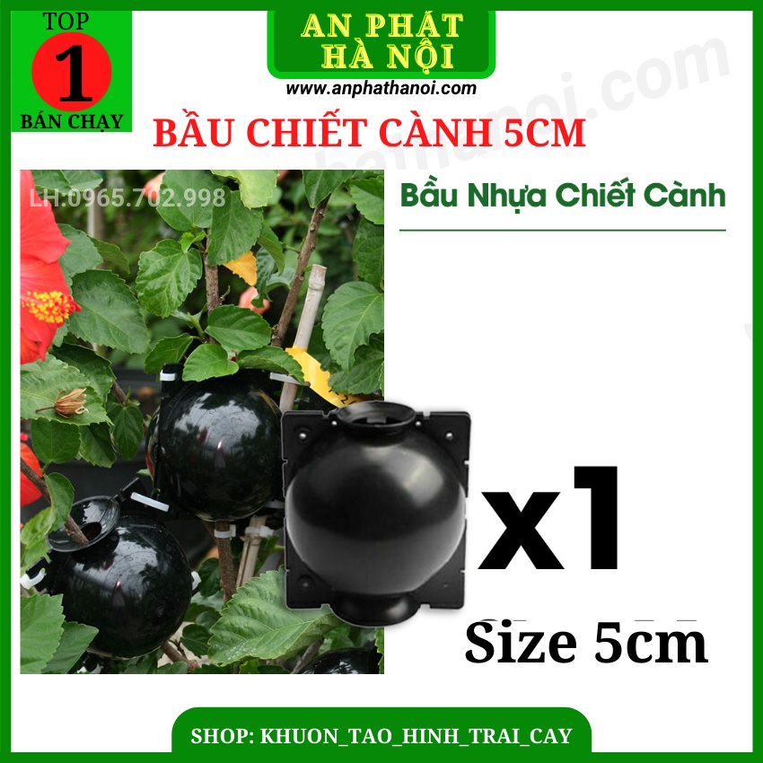 1 Bầu Chiết cành loại đẹp, dụng cụ chiết cành chuyên dụng, hộp ươm ghép cành