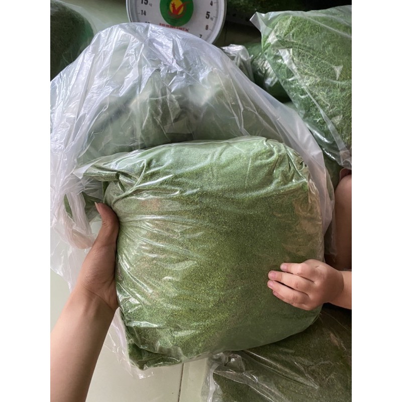1 Bịch Lớn Cỏ Sợi / Cỏ Bột Rêu Xanh Giá Sỉ