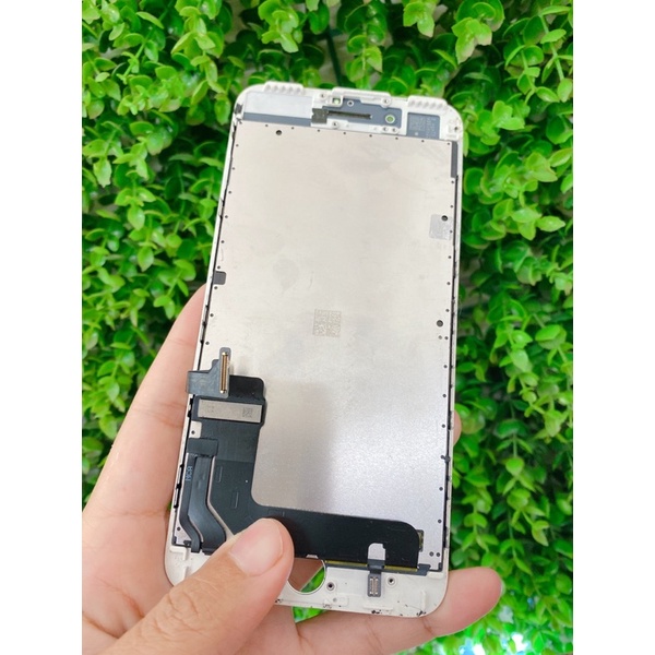 Màn hình 7plus zin