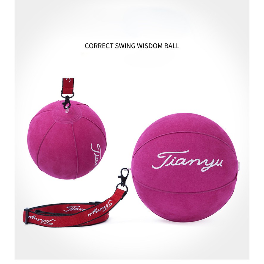 Dụng cụ  Golf Wisdom ball phụ trợ điểu chỉnh cánh tay khi chơi golf