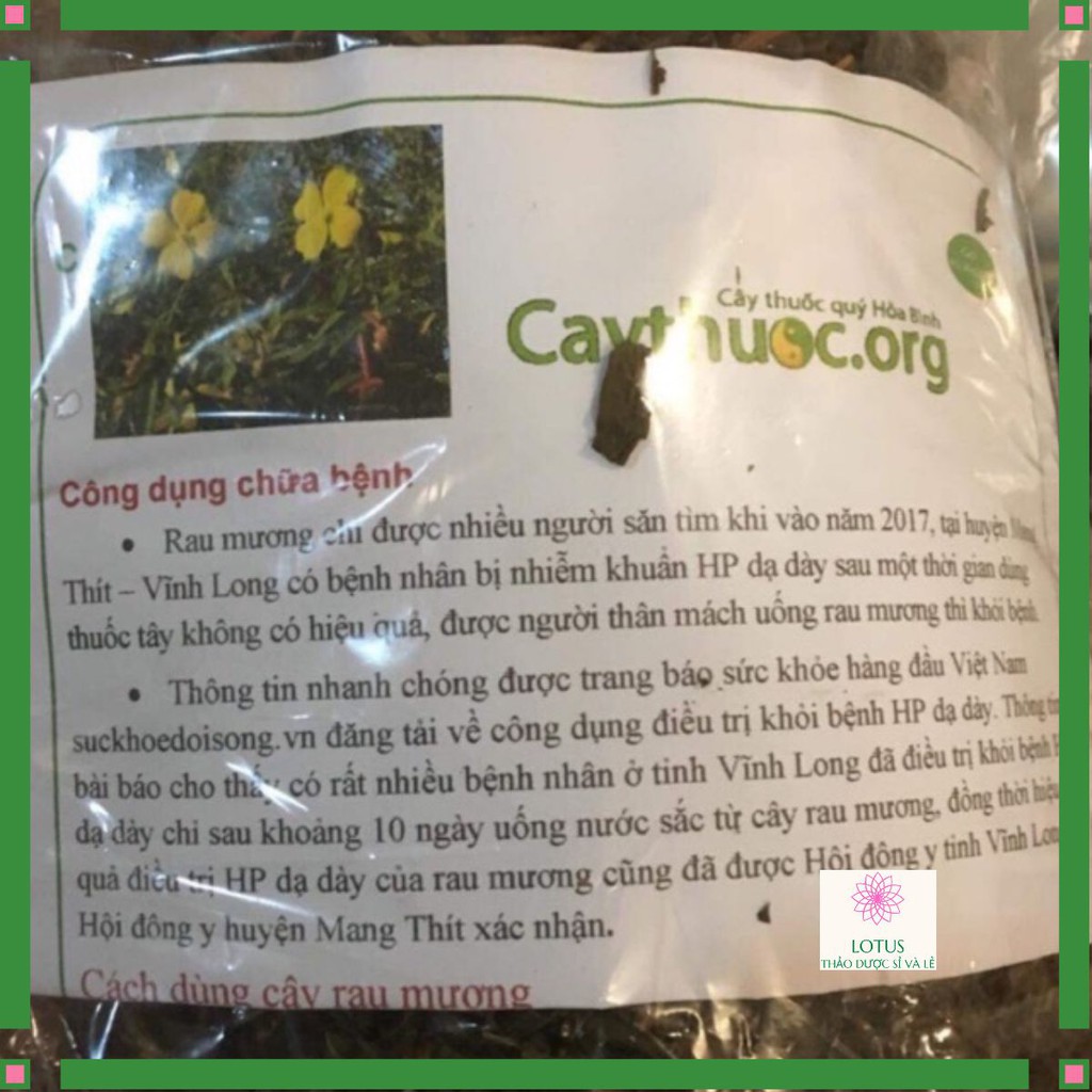 Cây Rau mương 1 kg chữa bệnh