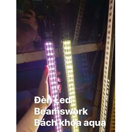 Đèn Tanning huyết Beamswork Odysea - BKA