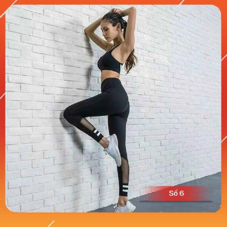 Quần tập Gym Yoga nữ [SALE] các mẫu quần dài legging phối lưới đẹp nhất, co giãn 4 chiều