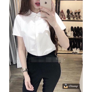Áo sơ mi nữ cộc tay chất đẹp dáng đuôi tôm -Mã HA 21