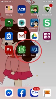 Bộ thẻ animal 4d