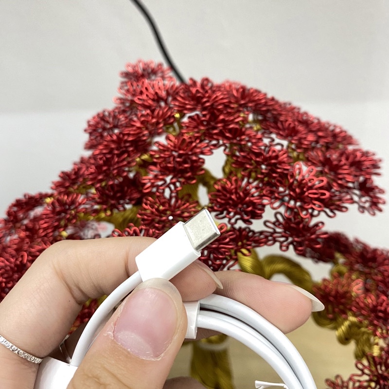 Dây cáp Type-C to Type-C dành cho các dòng máy iP - bảo hành 12 tháng lỗi 1 đổi 1