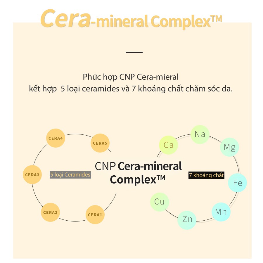 [HB Gift] Tinh chất dưỡng ẩm chuyên sâu CNP Laboratory Hydro Cera Deep Serum 25ml Gimmick