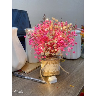 Combo hoa khô mix kèm lọ decor phòng