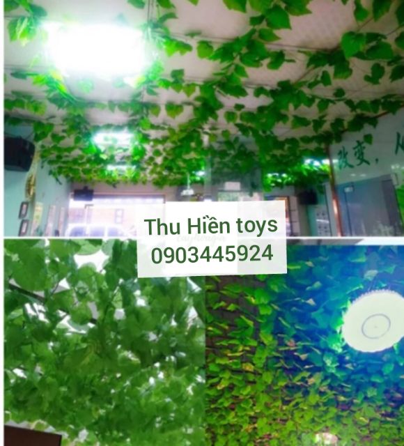 Dây Lá Nho Cuống Xanh Dài 2m