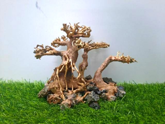 LŨA BON SAI 3 Thân cấy rêu