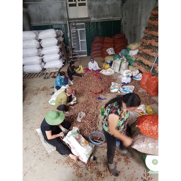 Hành ta thái lát sấy khô đóng gói quy cách  500g/gói