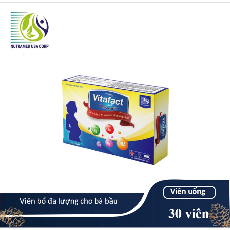 Combo 2h Viên uống đa lượng cho phụ nữ có thai Vitafact Pregnancy - Bổ sung các Vitamin, giảm ốm nghén, dự phòng dị tật