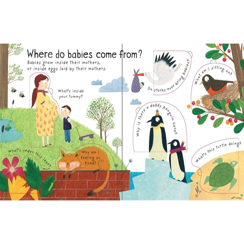 Sách - Anh: Lift the flap Where do babies come from?
