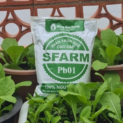 Phân Trùn Quế SFARM Pb01 2Kg
