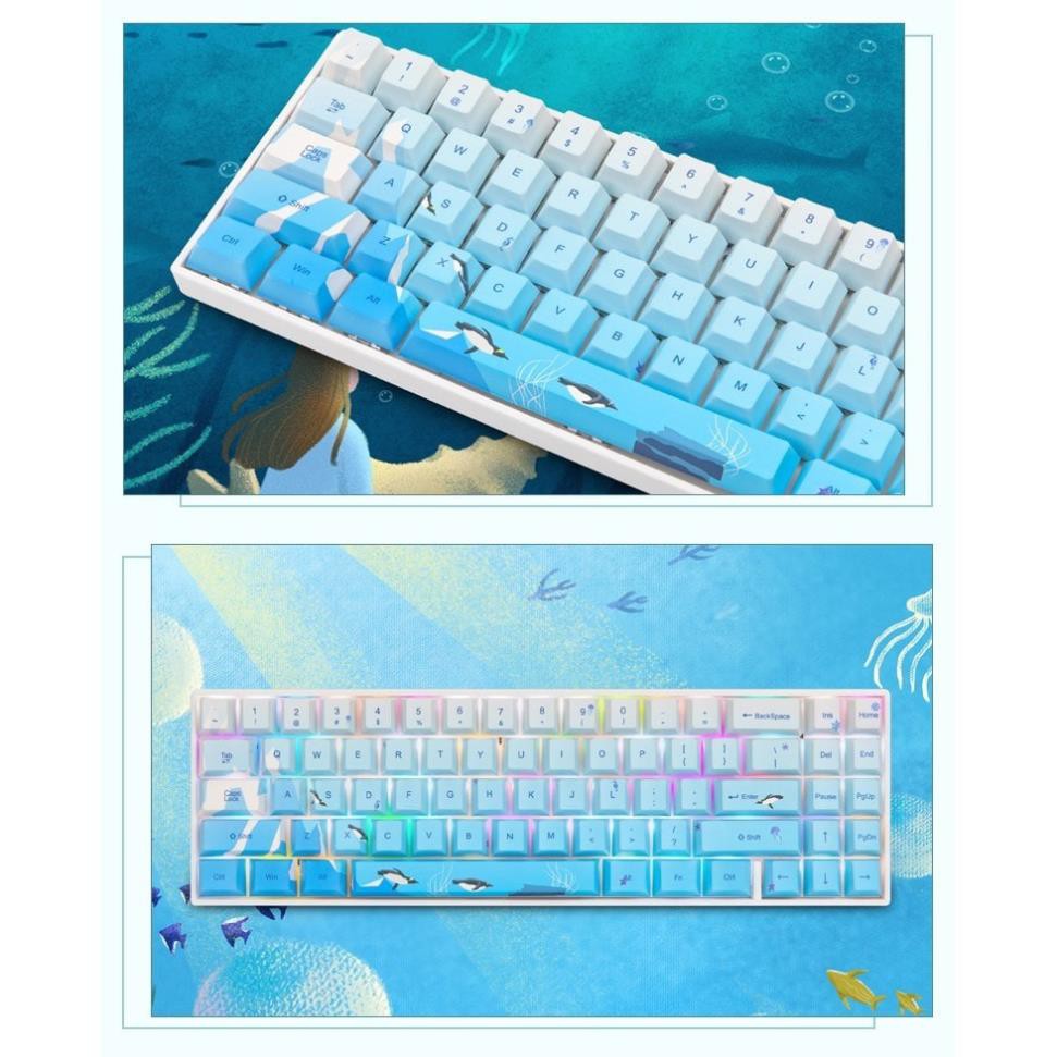 (CÓ SẴN) Bộ Set Keycap PBT Doubleshot Cao Cấp Dùng Cho Bàn Phím RK71 hoặc các bàn phím cỡ 60% 70%