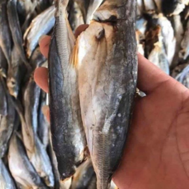 1kg Khô cá nục mặn ngon