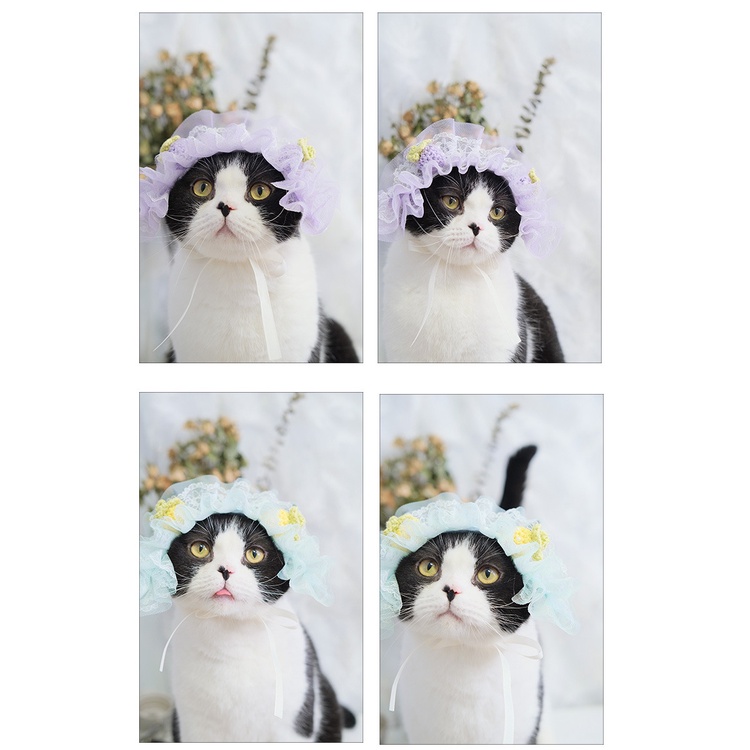 Mũ voan ren trái dâu CAMQUYTSTORE cho mèo