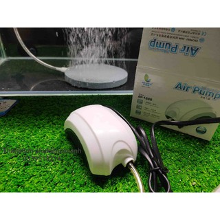 Máy Sủi Oxy Mini Jeneca AP-1688 + Dây và Đá Sủi  - Tiếp Kiệm Điện - Thanh Sơn phụkiệncácảnh