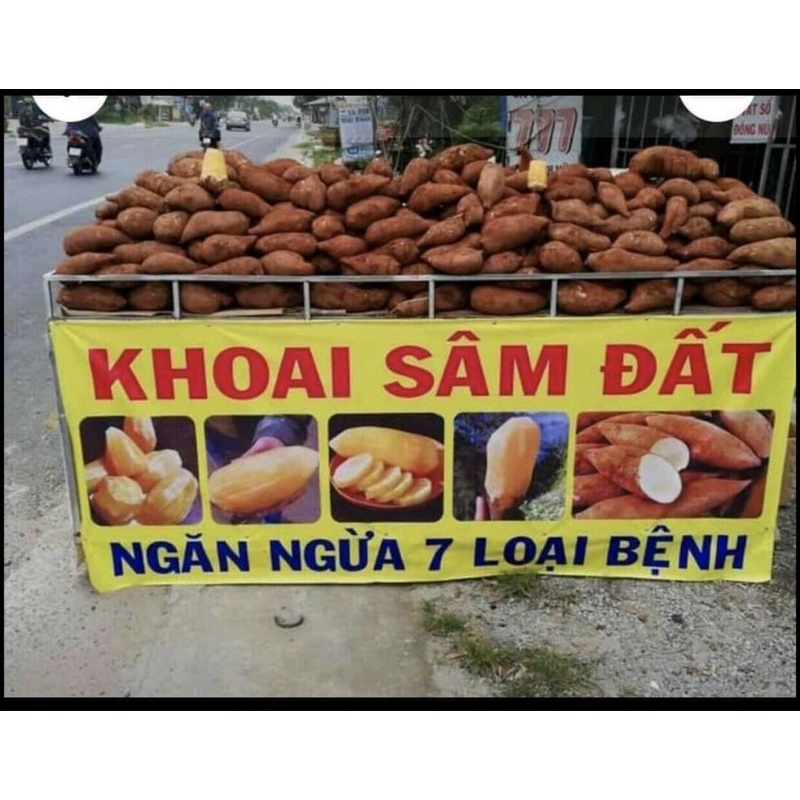 Combo 3kg Khoai sâm đất gọt sẵn ăn liền