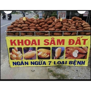 Combo 3kg Khoai sâm đất (củ to)