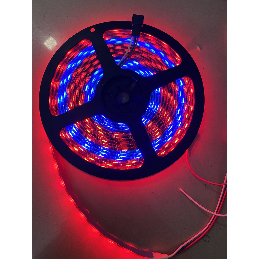 Cuộn led 5050 dải đèn led RGB nháy đuổi dây dán full color chạy hiệu ứng đẹp mắt - ic chất lượng cao 1903 chip led 5050