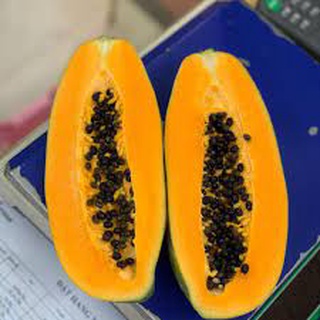 Hạt giống đu đủ vàng f1