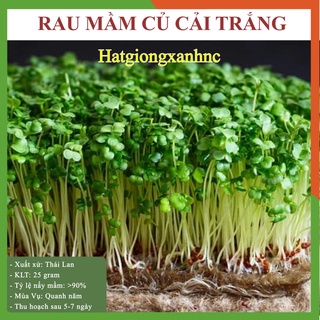 Rau mầm,hạt giống rau mầm củ cải trắng_50g-100g