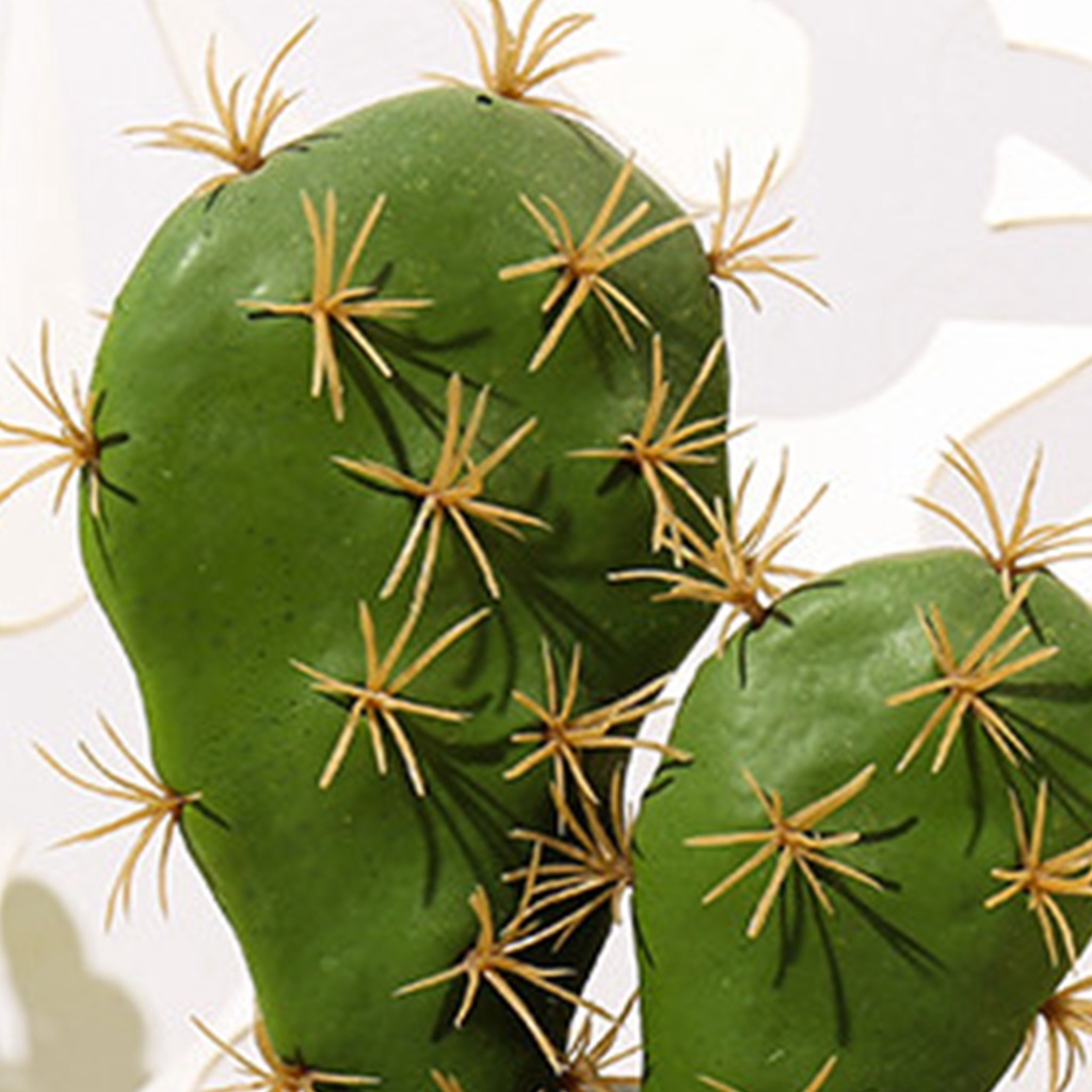 Chậu Cây Xương Rồng Giả Để Bàn Trang Trí Nhà Cửa