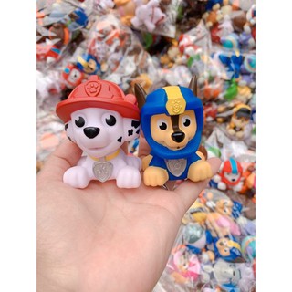 Chó cứu hộ phun nước