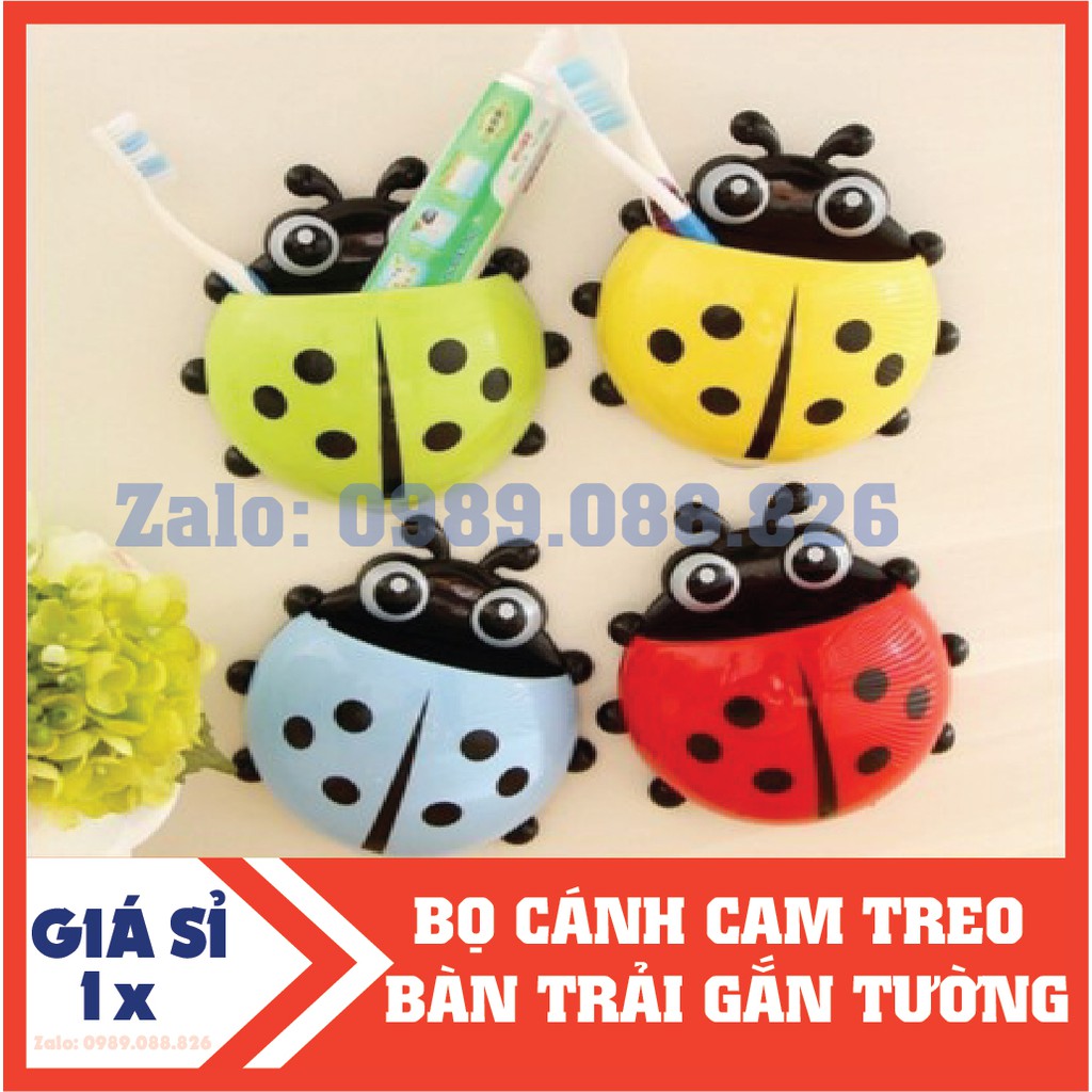 BỌ CÁNH CAM TREO BÀN TRẢI GẮN TƯỜNG