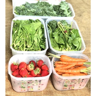 LẺ HỘP TRỮ MÁT CÓ NÚT HÔ HẤP VENTSMART - HÀNG CHÍNH HÃNG TUPPERWARE VIỆT NAM PHÂN PHỐI (Vensmart)