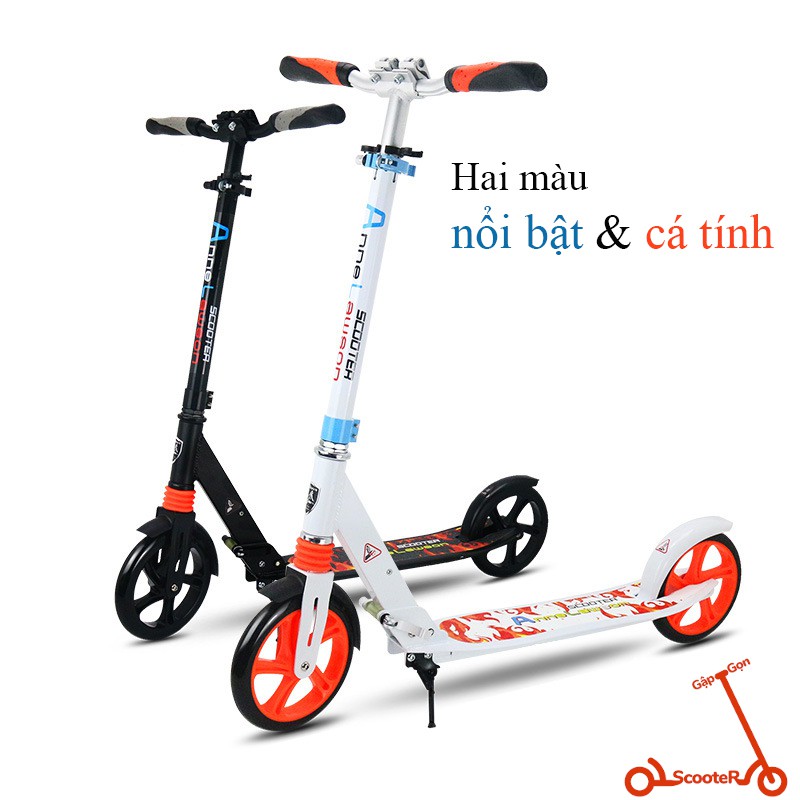 Xe trượt scooter thể thao người lớn Adults Scooter Anne Lawson Y5