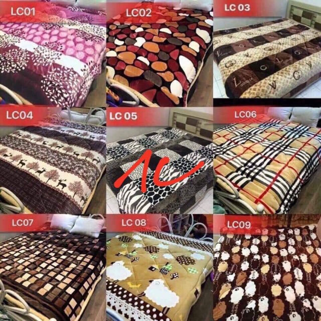 Chăn lông cừu Thu nguyên A