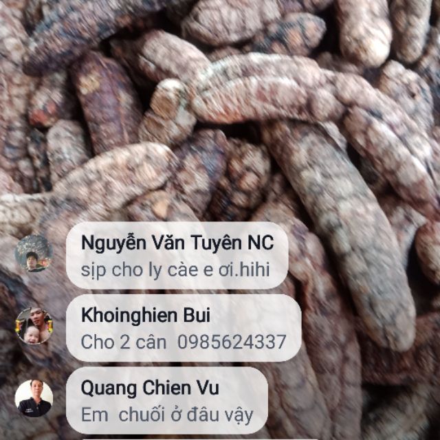 Chuối hột rừng