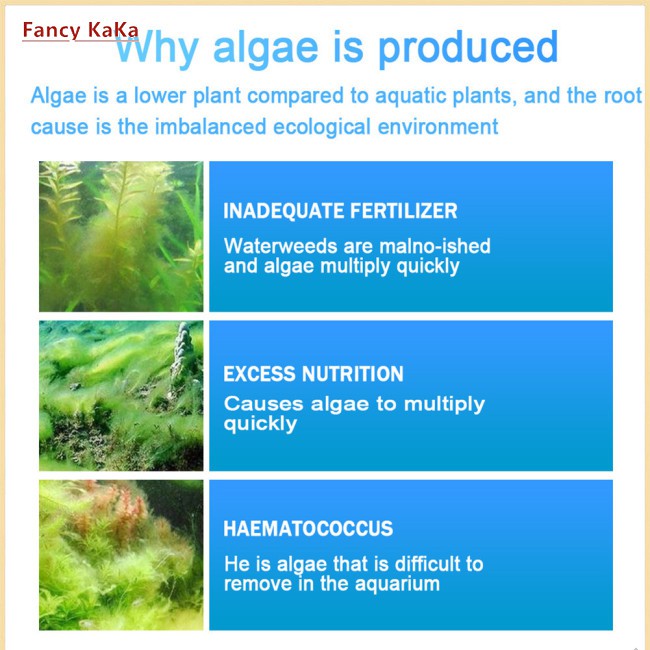 Algaecide Powder/Tablet for Aquarium Indoor Pool Fish Bowl Lichen Remover