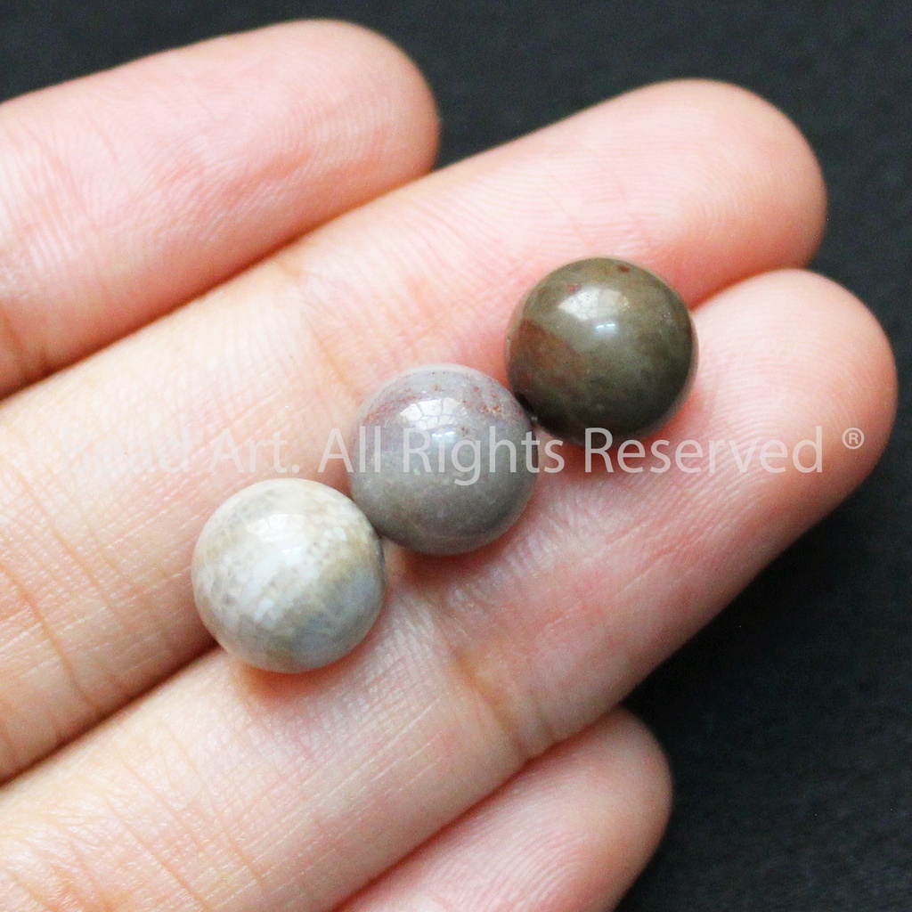 8MM San Hô Hoá Thạch Loại A 8MM, Dạng Tròn, Tông Xám, Phối Vòng Tay Phong Thuỷ, Chuỗi Hạt S50 - Bead Art