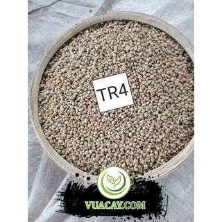 HẠT GIỐNG CÀ PHÊ TR4 (138)(1kg)
