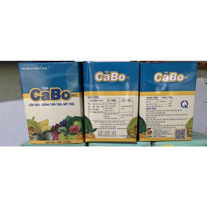 CABO của toba viên