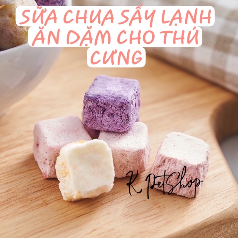 Sữa chua sấy vị trái cây cho thú cưng 🌸 Sữa chua sấy hũ 25gram cho hamster, chó, mèo