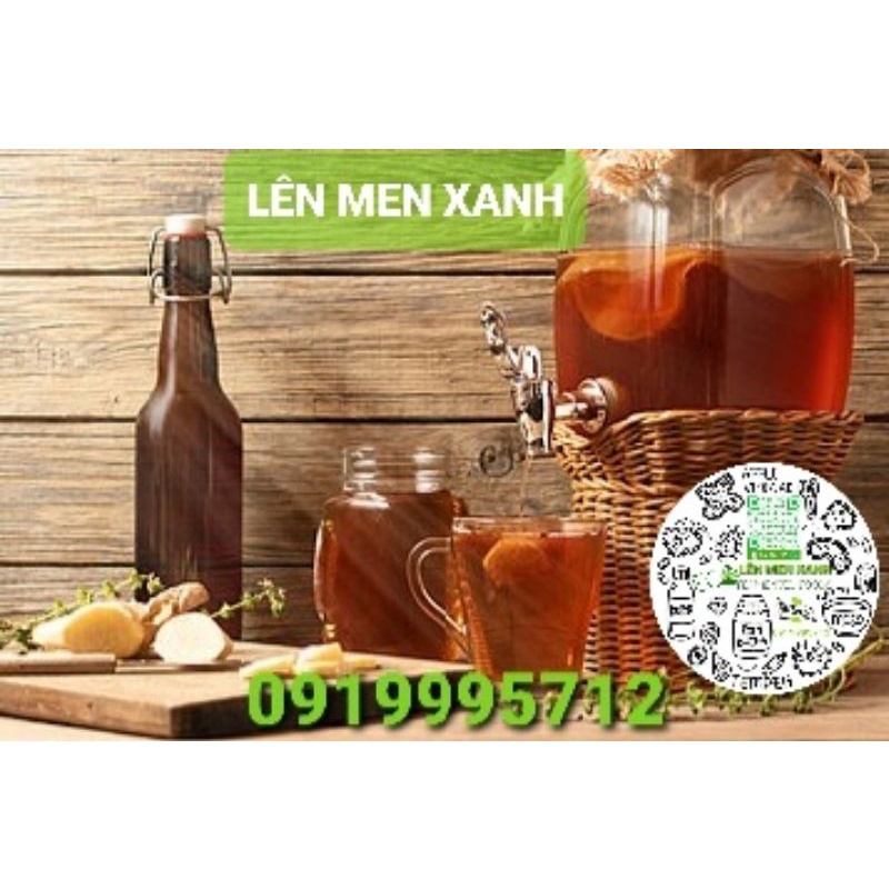 NẤM THỦY SÂM KOMBUCHA LÊN MEN TRÀ VÀ ĐƯỜNG MÍA/ MẬT ONG CÓ GA THƠM NGON