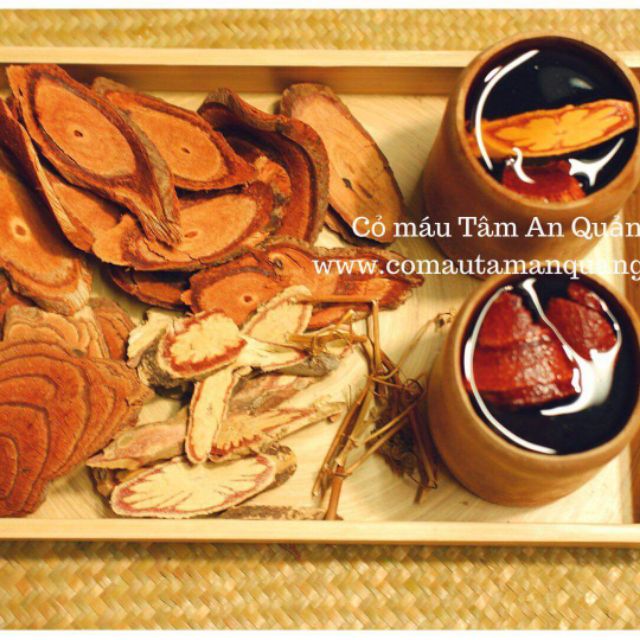 CỎ MÁU TÂM AN