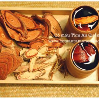 CỎ MÁU TÂM AN