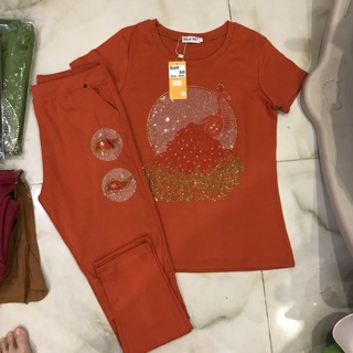 Đồ bộ trung niên { 45-75 ký }