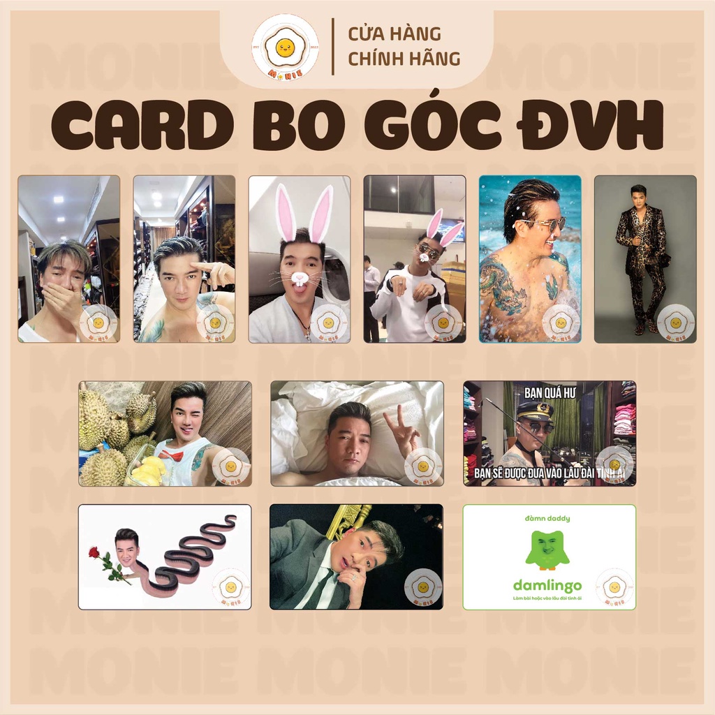 Card bo góc Đàm Vĩnh Hưng 2 mặt (12 kiểu) Đàm khò, Đàm xà, Damlingo,...